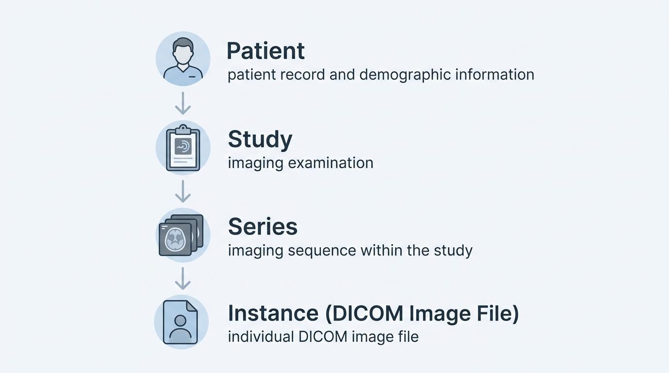 Gerarchia dei dati DICOM che mostra paziente, studio, serie e singoli file immagine DICOM